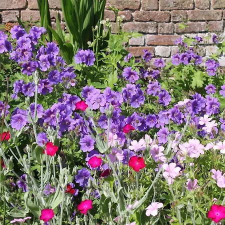 Bed & Breakfast Ballinacourty House Tipperary