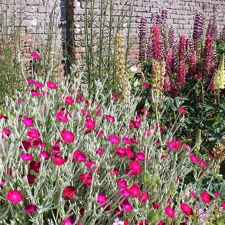 Ballinacourty House Bed & Breakfast 3*