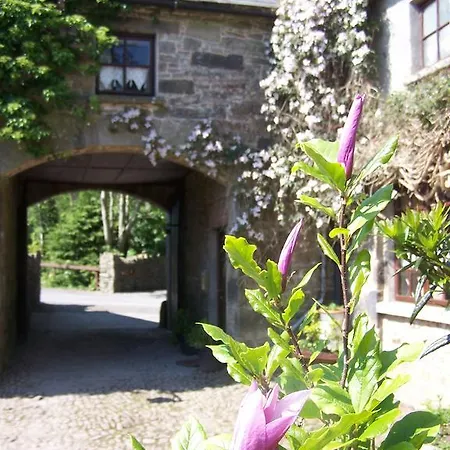 Ballinacourty House 3*