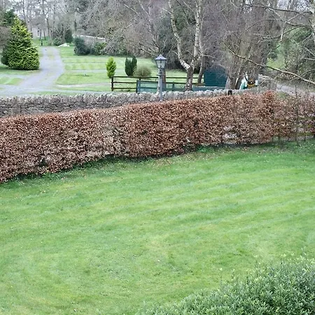 Ballinacourty House Nocleg ze śniadaniem