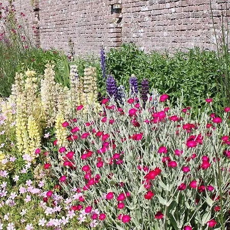 Bed & Breakfast Ballinacourty House 3*