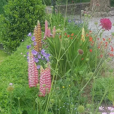 Ballinacourty House Tipperary