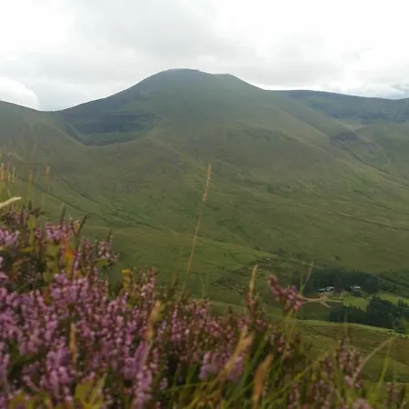 Ballinacourty House Bed & Breakfast 3*