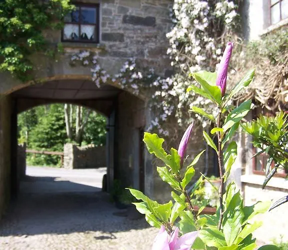 Ballinacourty House 3*