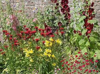 Ballinacourty House 3*