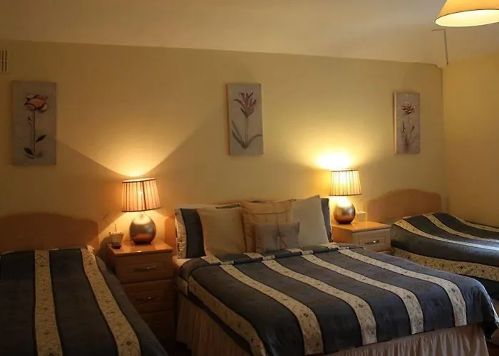 Bed & Breakfast Ballinacourty House 3*