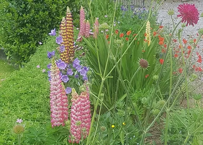 Ballinacourty House Tipperary