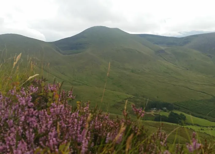 Ballinacourty House Bed & Breakfast 3*